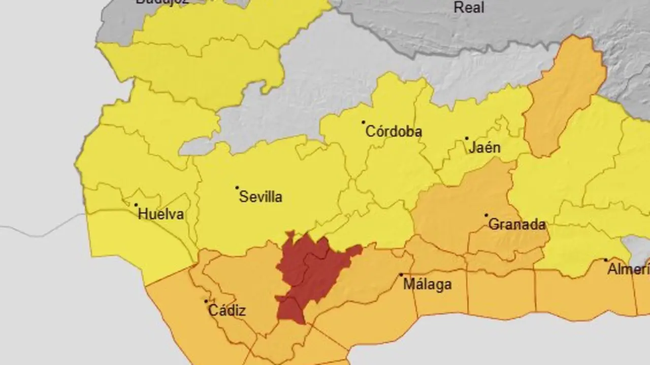 Captura de pantalla 2026-02-03 21074