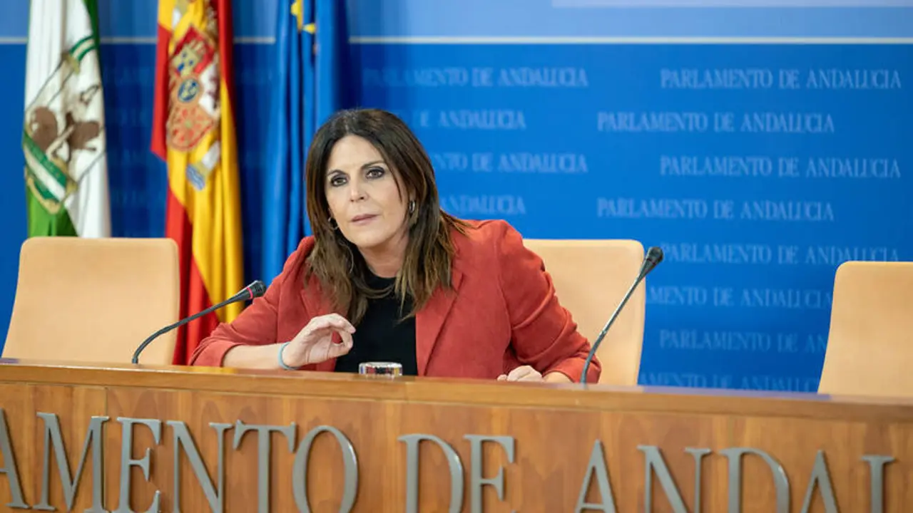 La portavoz adjunta del Grupo Socialista, &Aacute;ngeles F&eacute;rriz