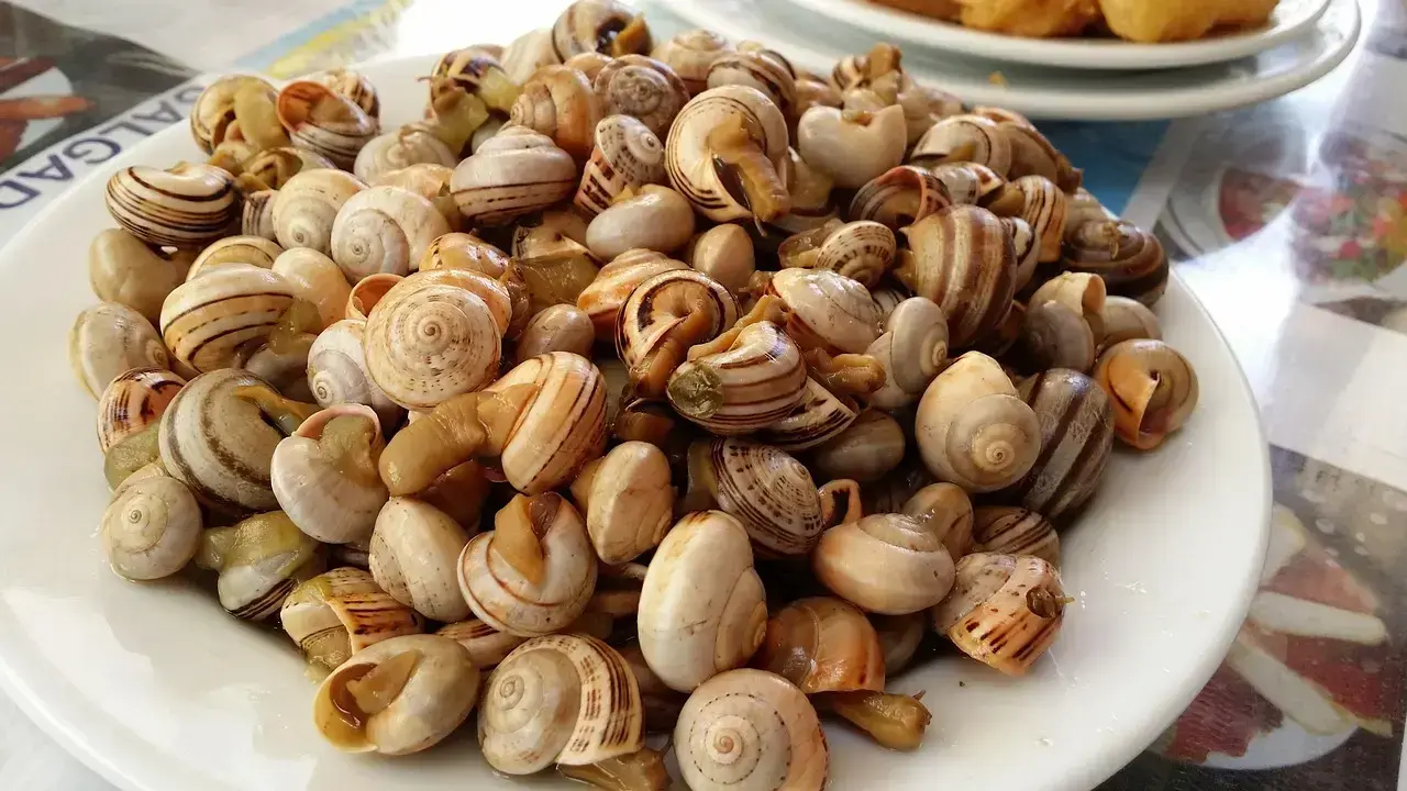 Caracoles