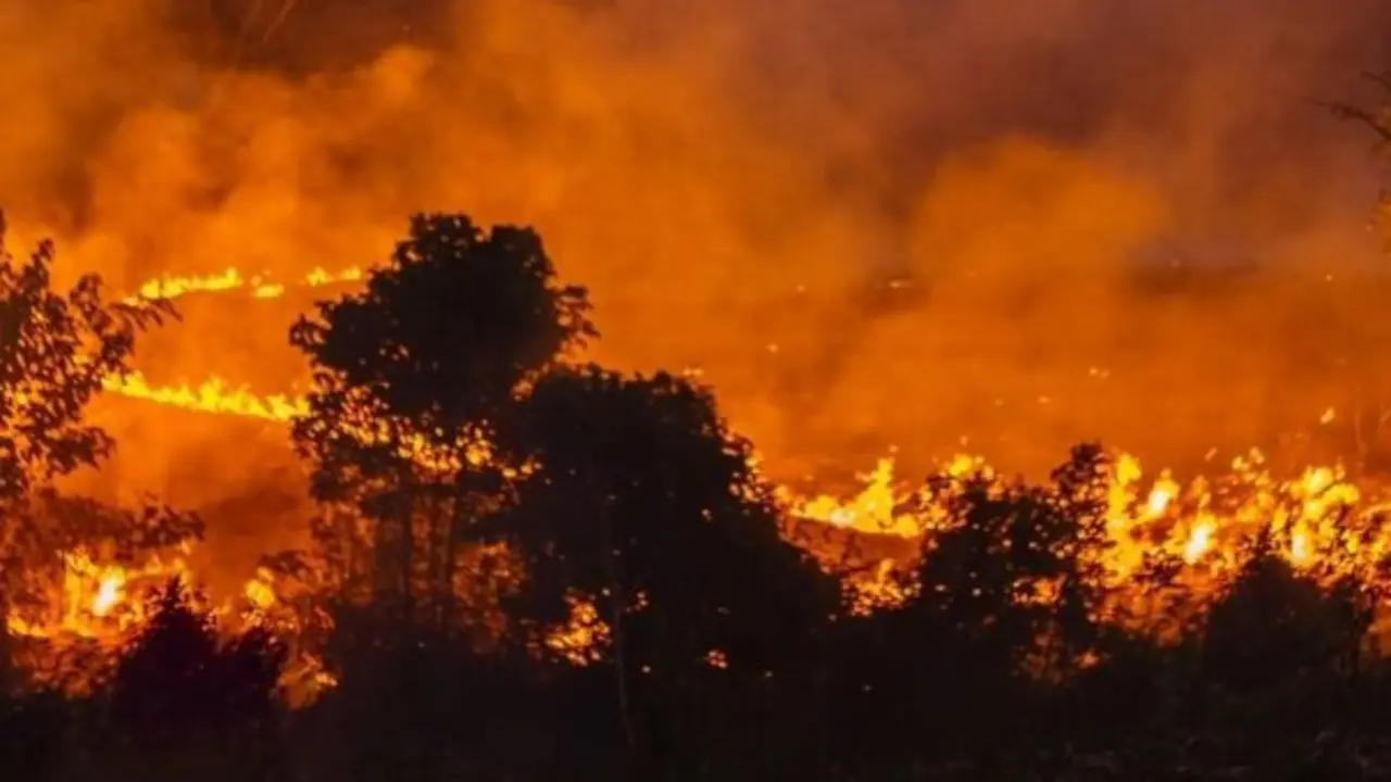 Incendio