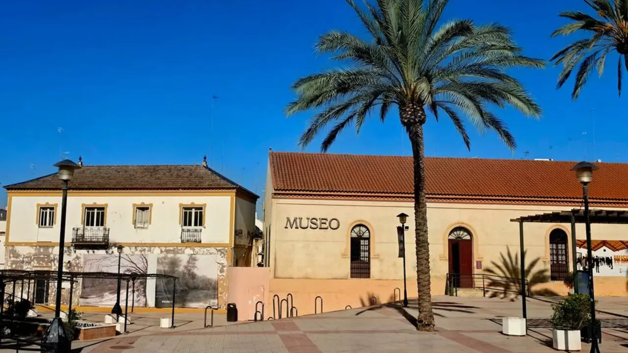 Museo de Alcal&aacute;