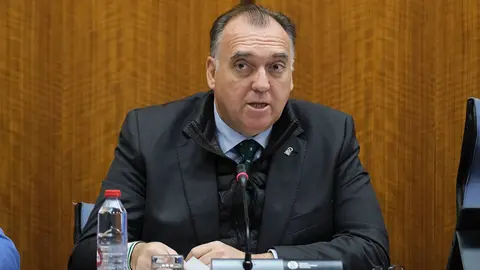 El consejero de Turismo, Arturo Bernal, durante la comisión parlamentaria