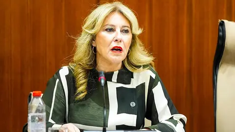 La consejera de Economía, Carolina España, interviene durante la comisión parlamentaria