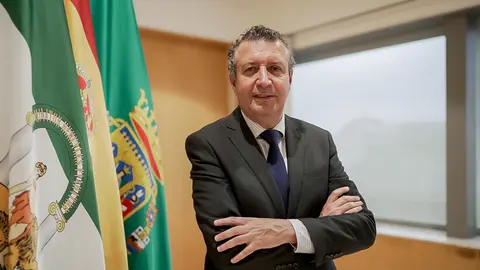 El presidente de la Diputación Provincial de Sevilla, Javier Fernández