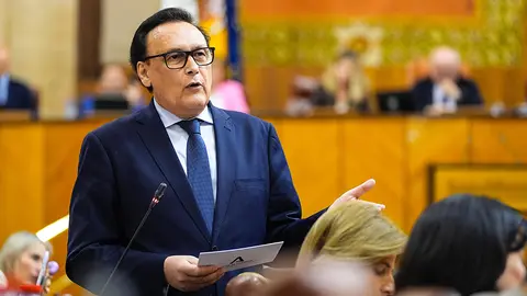 El consejero de Universidad, José Carlos Gómez Villamandos, en la sesión plenaria del Parlamento