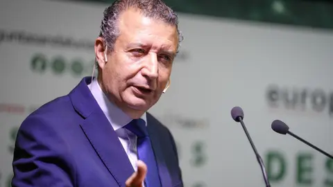 El presidente de la Diputación de Sevilla, Javier Fernández