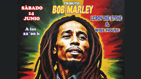 Captura de pantalla 2025-06-11 175234