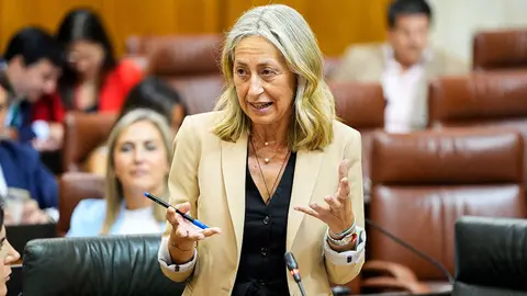 La consejera de Salud, Rocío Hernández, interviene durante la sesión plenaria del Parlamento