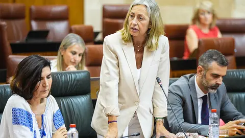 Rocío Hernández, en una imagen de archivo, interviene desde su escaño en el Pleno del Parlamento andaluz