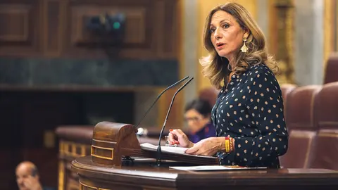 La diputada de Vox en el Congreso por Sevilla, Reyes Romero