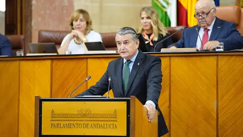 El consejero de la Presidencia, Antonio Sanz, interviene en la sesión plenaria del Parlamento andaluz