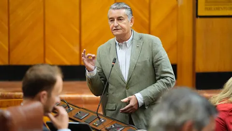 El consejero de la Presidencia, Antonio Sanz, responde a una pregunta en el Pleno del Parlamento andaluz