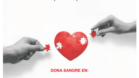 Captura de pantalla 2025-09-15 165919