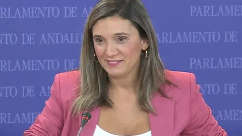 La portavoz del Grupo Socialista, María Márquez