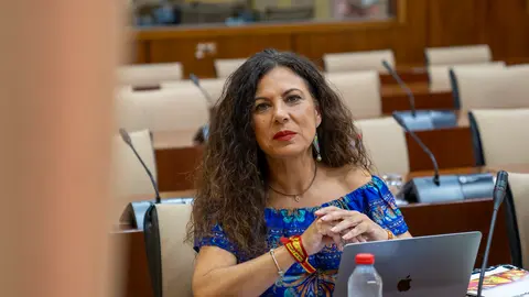 La diputada de Vox en el Parlamento de Andalucía, Ana Ruiz