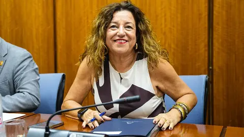 La consejera de Desarrollo Educativo y FP, María del Carmen Castillo