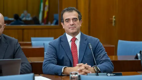 El parlamentario de Vox en Andalucía, Antonio Sevilla