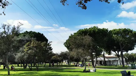 Parque Alamillo