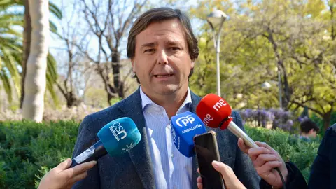 El secretario general del PP de Andalucía, Antonio Repull