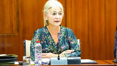 La consejera Patricia del Pozo