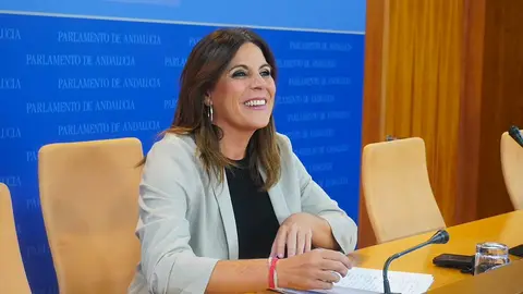 La portavoz adjunta del Grupo Socialista Ángeles Férriz