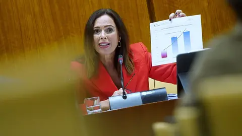 La consejera de Fomento, Rocío Díaz, durante su intervención en el Parlamento andaluz
