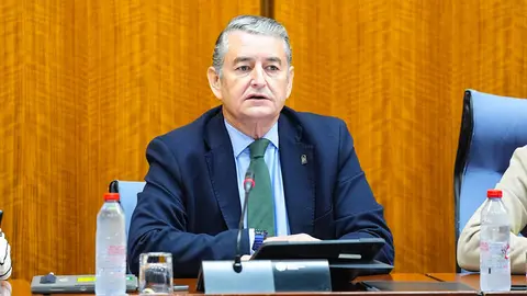 El consejero de Sanidad, Antonio Sanz, presenta el Plan de Alta Frecuentación en comisión parlamentaria