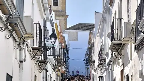 img-20251111-wa0071_resultado