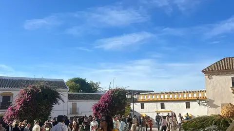 img-20251111-wa0088_resultado