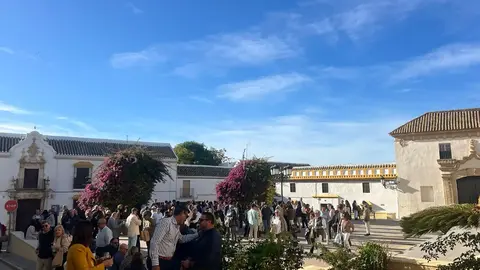 img-20251111-wa0090_resultado