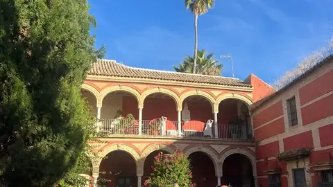 img-20251111-wa0107_resultado