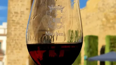 img-20251111-wa0118_resultado