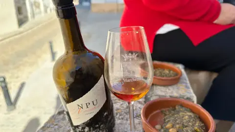 img-20251111-wa0124_resultado