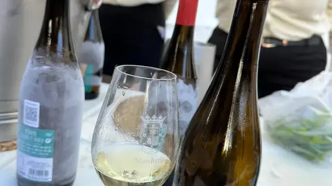 img-20251111-wa0138_resultado