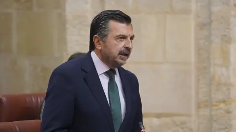 El portavoz del Grupo Popular en el Parlamento de Andaluc&iacute;a, Toni Mart&iacute;n