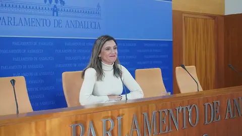 La portavoz del Grupo Socialista, María Márquez