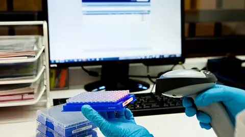 Investigaci&oacute;n