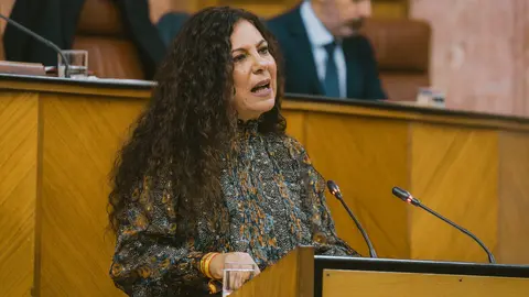 La diputada del Grupo Parlamentario Vox en el Parlamento de Andaluc&iacute;a, Ana Ruiz