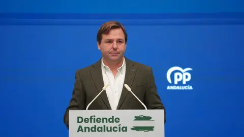 El secretario general del Partido Popular de Andaluc&iacute;a, Antonio Repullo