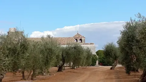 Hacienda La Mata