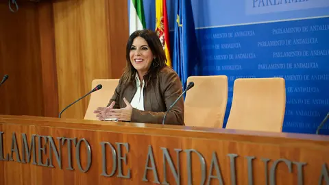 La portavoz adjunta del Grupo Parlamentario Socialista &Aacute;ngeles F&eacute;rriz