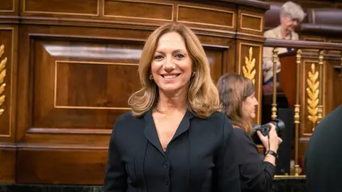 La diputada de VOX en el Congreso por Sevilla, Reyes Romero