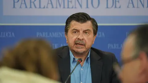 El portavoz del Grupo Popular en el Parlamento de Andaluc&iacute;a, Toni Mart&iacute;n