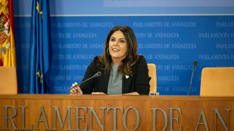 La portavoz adjunta del Grupo Socialista &Aacute;ngeles F&eacute;rriz 