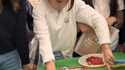 D&iacute;a_Andaluc&iacute;a (6)