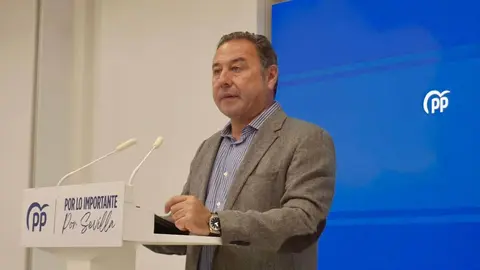 El presidente del PP de Sevilla, Ricardo S&aacute;nchez