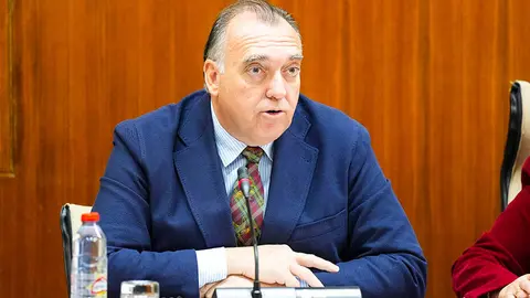 El consejero de Turismo y Andaluc&iacute;a Exterior, Arturo Bernal