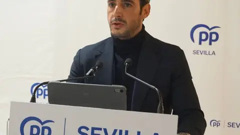 El secretario general del PP de Sevilla, Agust&iacute;n Aguilera