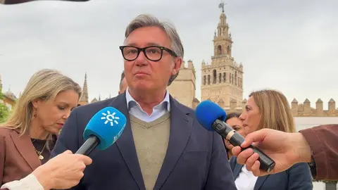 El portavoz de Vox en Andaluc&iacute;a, Manuel Gavira