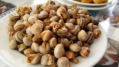 Caracoles